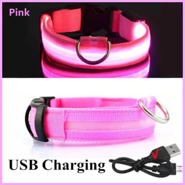 Colliers lumineux LED rechargeables pour chiens