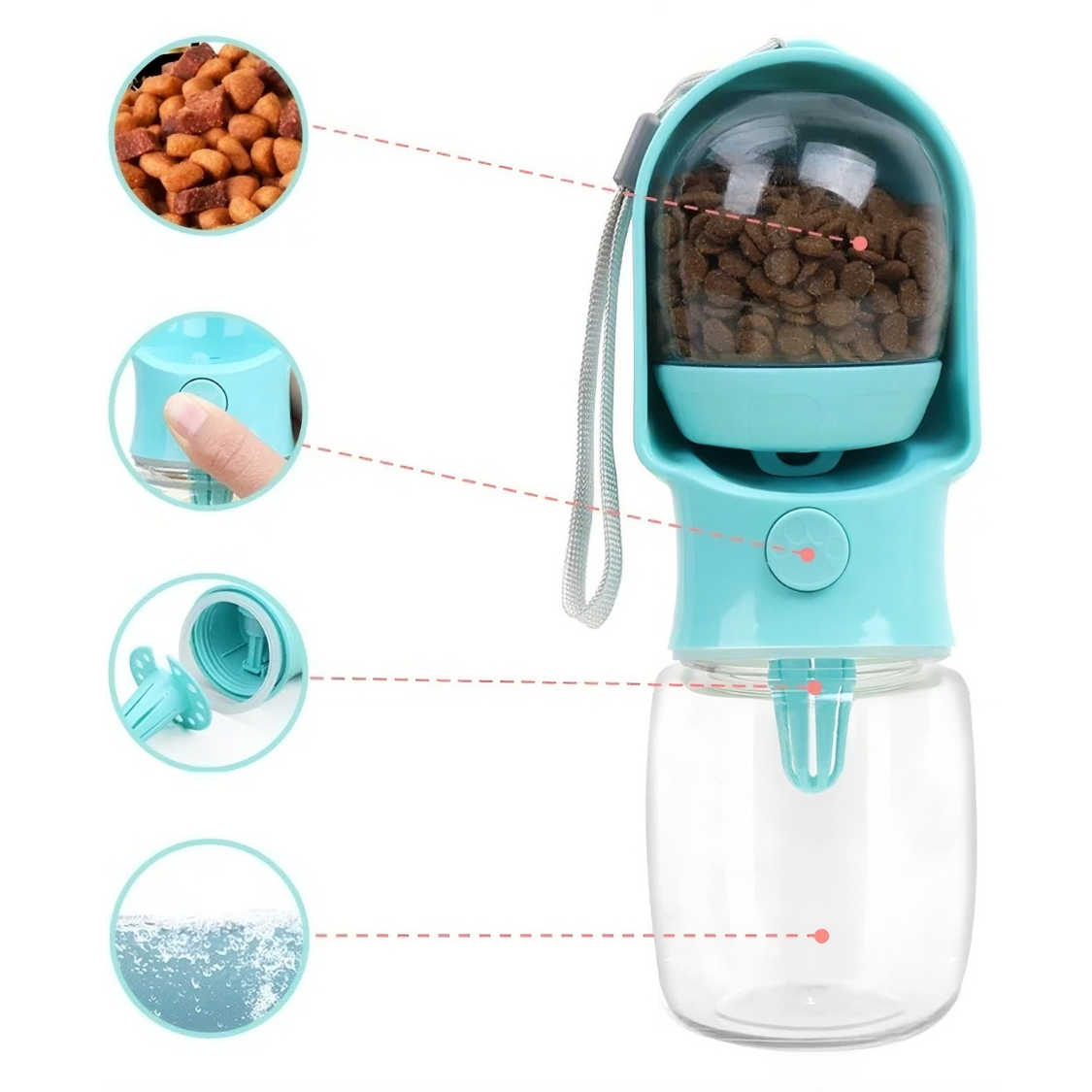 Bouteille d'eau portable pour animaux de compagnie
