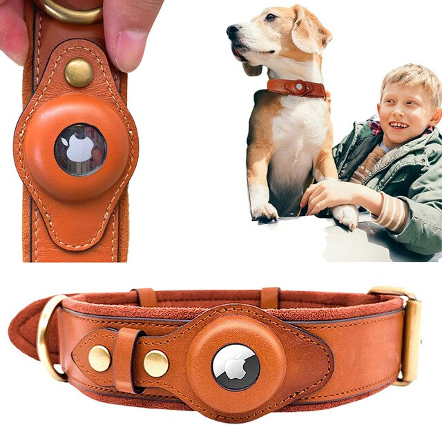 Collier de chien AirTag en cuir