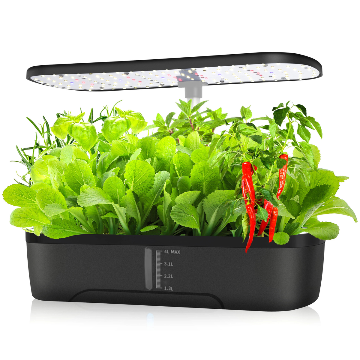 12 Pods Hydroponics Growing System