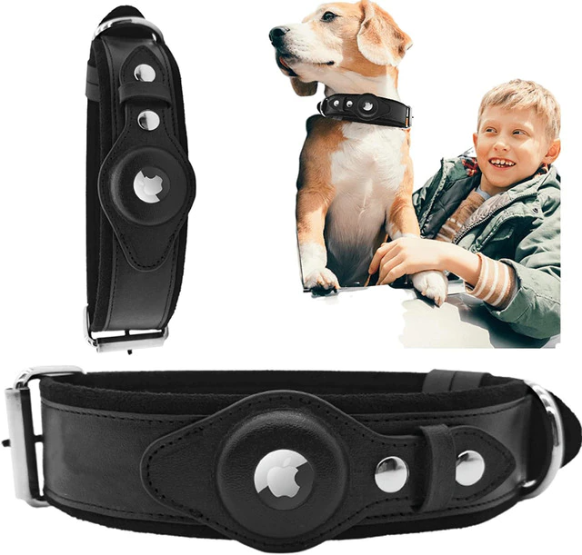 Collier de chien AirTag en cuir