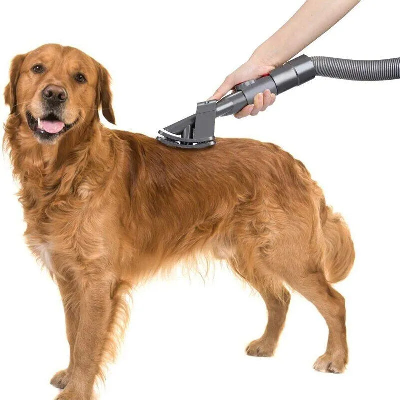 Accessoire de toilettage pour animaux de compagnie pour aspirateur Dyson