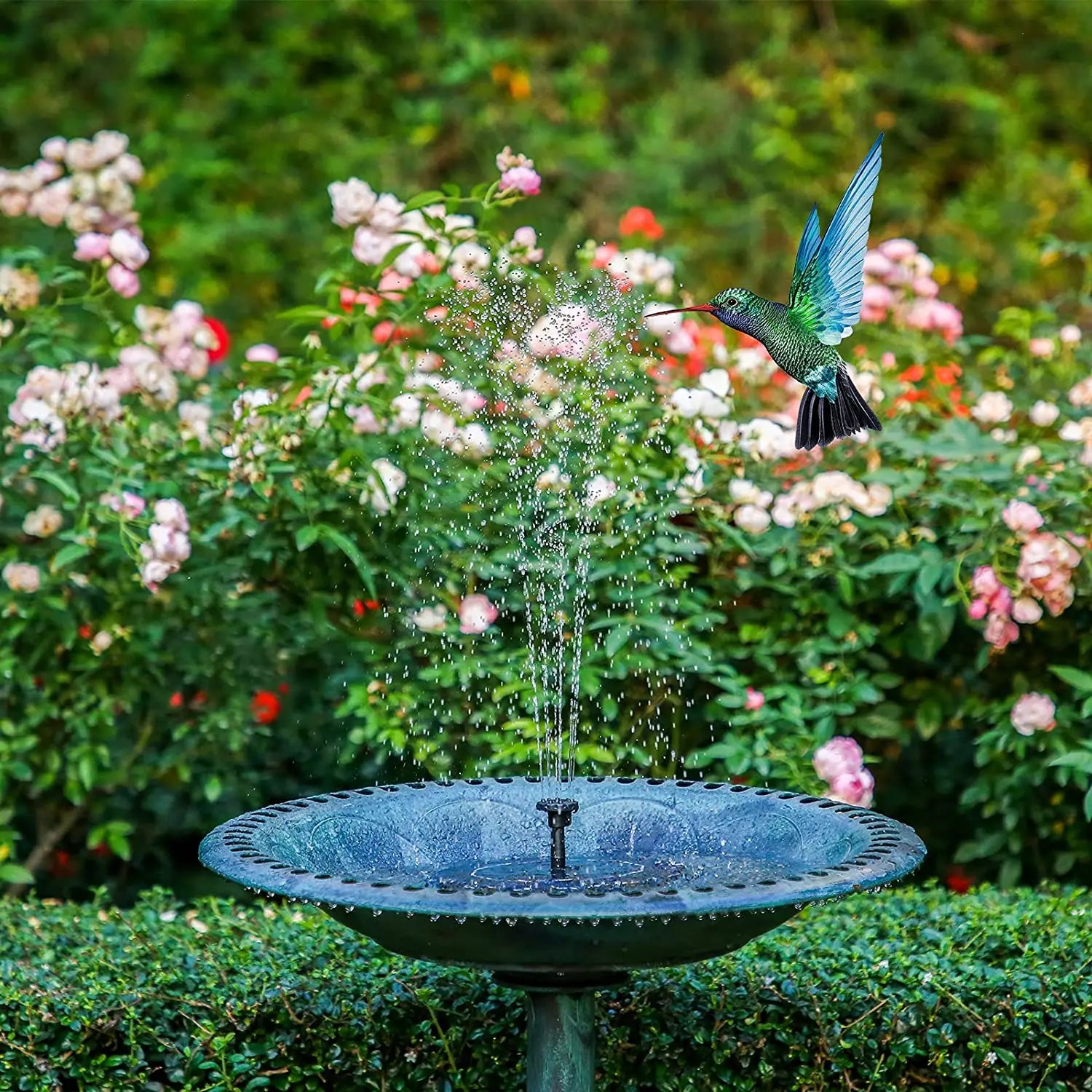Solar-Powered Fountain Pump for Bird Baths