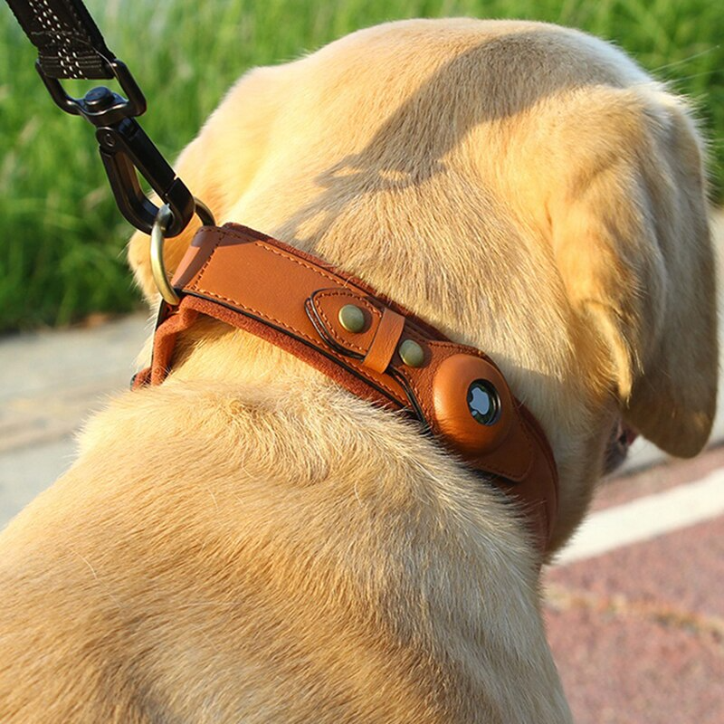 Collier de chien AirTag en cuir