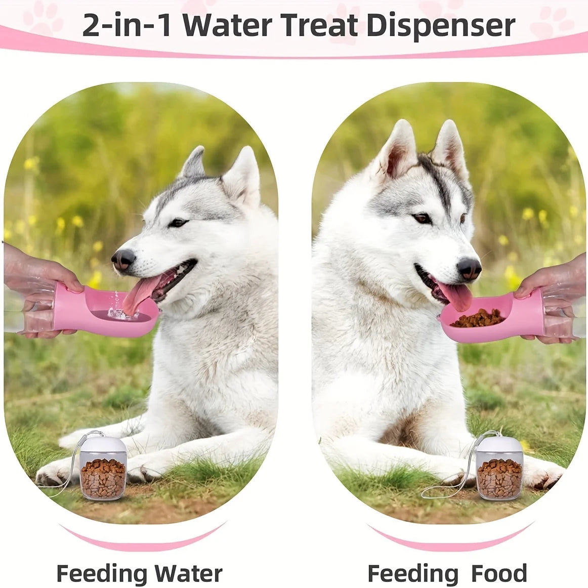 Bouteille d'eau portable pour animaux de compagnie