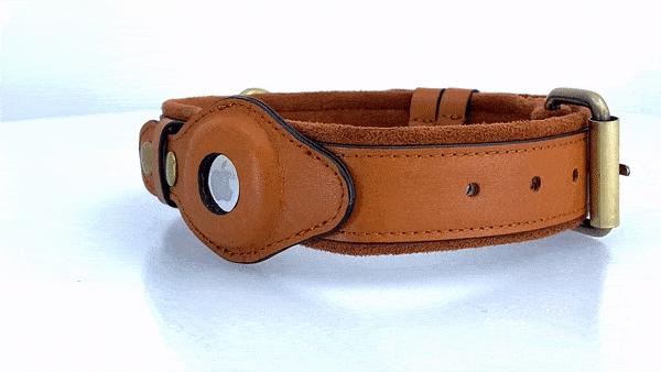 Collier de chien AirTag en cuir