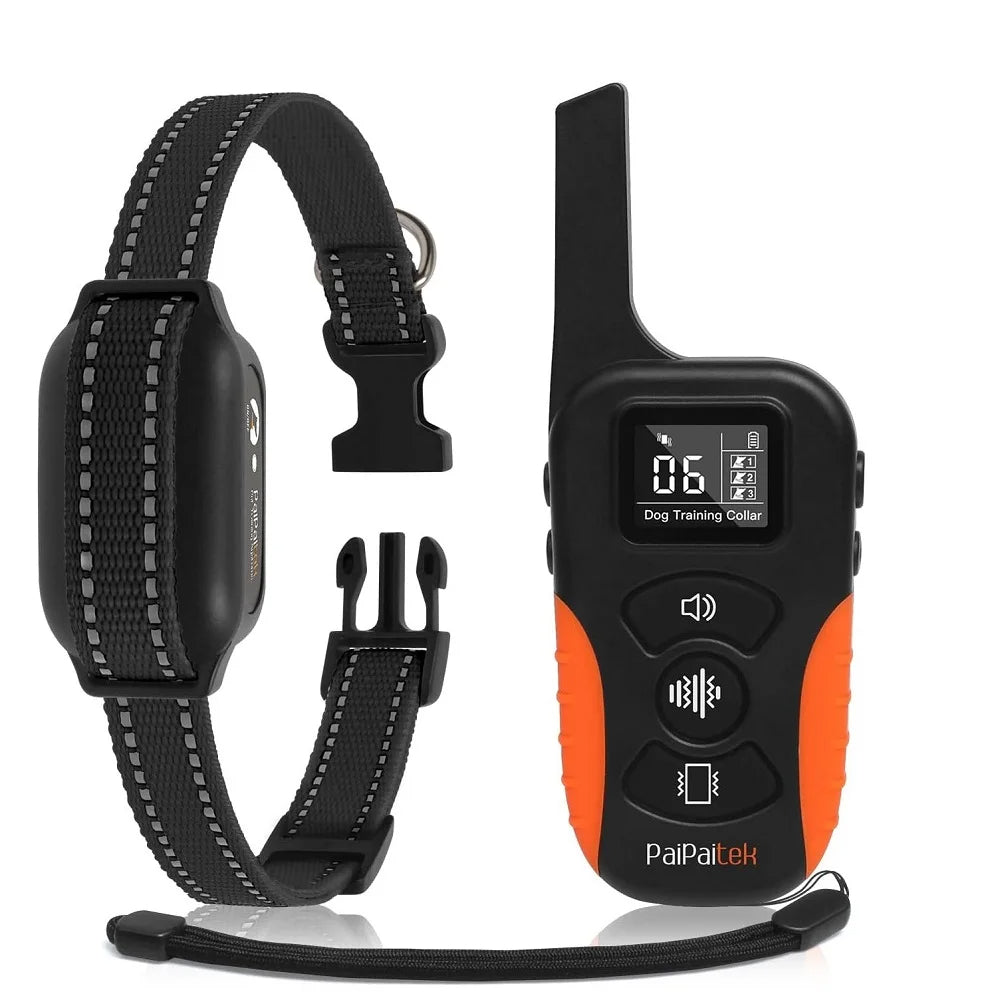 Collier de dressage pour chien